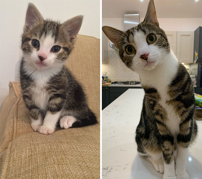 My Boy Had Done Some Growing