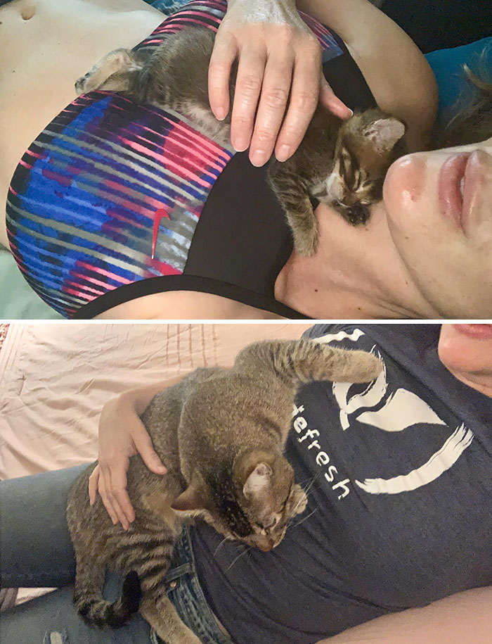 Six Months Later. He Was Failing To Thrive When I Got Him