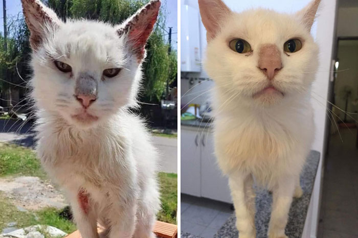 Nova's Journey! Her Eyes Say It All