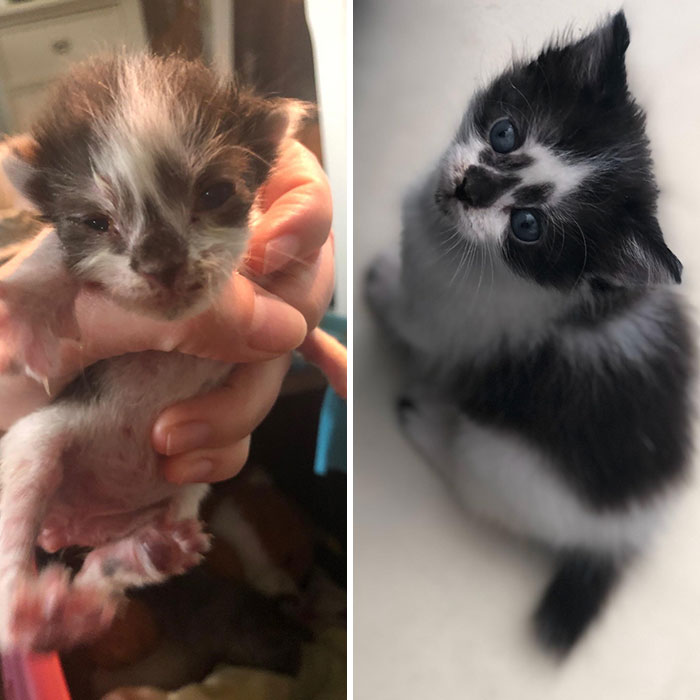 One Month Can Make A Huge Difference