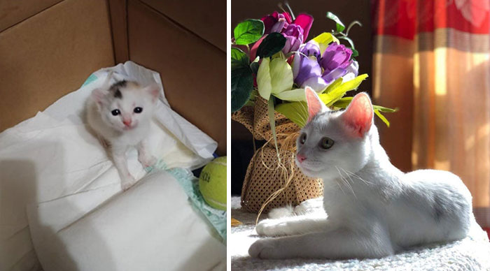 Meet Syl. From Being Abandoned By Her Mom On The Streets To Having A Healthy Life With A Loving Family