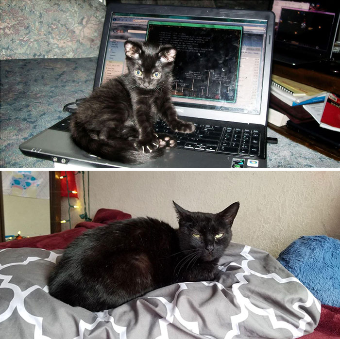 Her First Week Home With Us And 12 Years Later