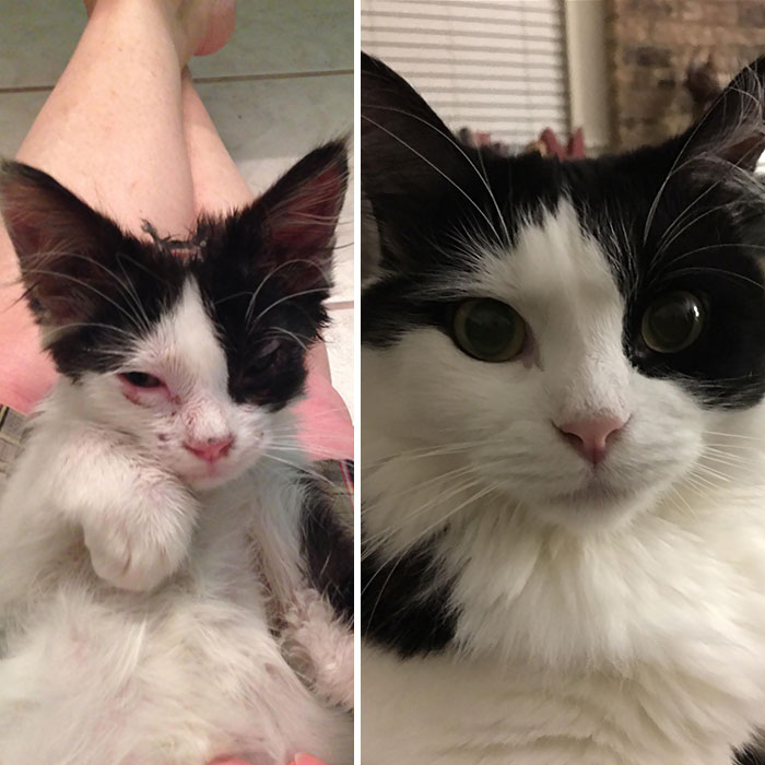 Was Told Miss Pretty Comma Perfect Would Find Some Love And Appreciation Here