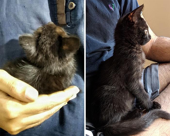 Rescued Him Exactly 2 Months Ago At This Hour