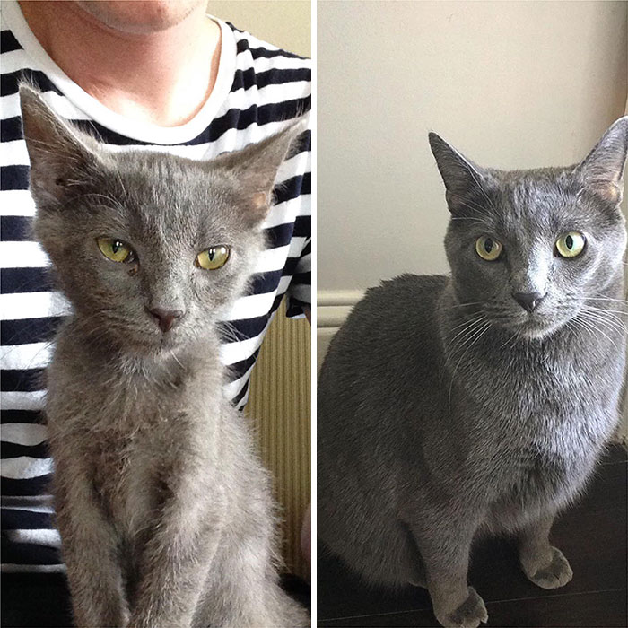 We Rescued Dr Watson 2 Years Ago Today