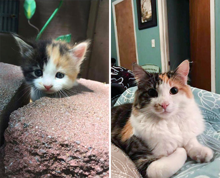 My Baby Luna - 2 Years From Adoption