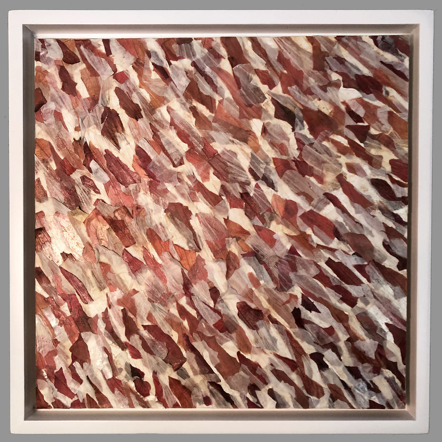 I Make Artwork Out Of Food Scraps