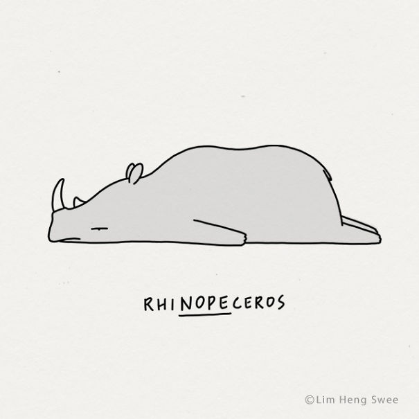 Rhinoceros
