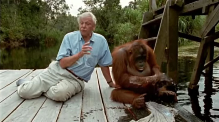 BBC Announces Its Online Geography Lessons Will Be Taught By Sir David Attenborough