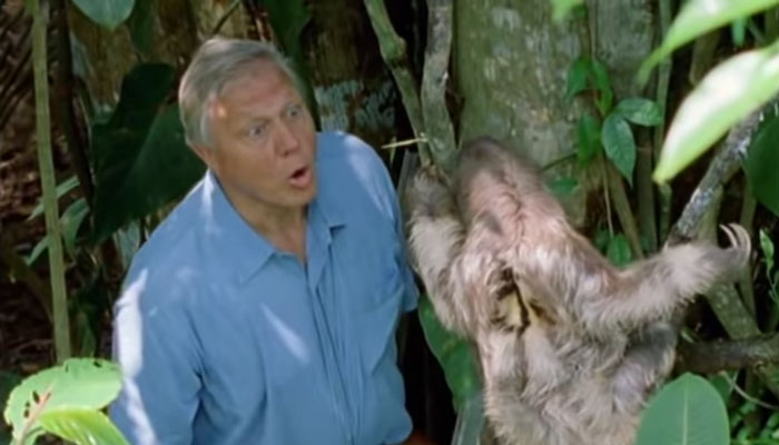 BBC Announces Its Online Geography Lessons Will Be Taught By Sir David Attenborough