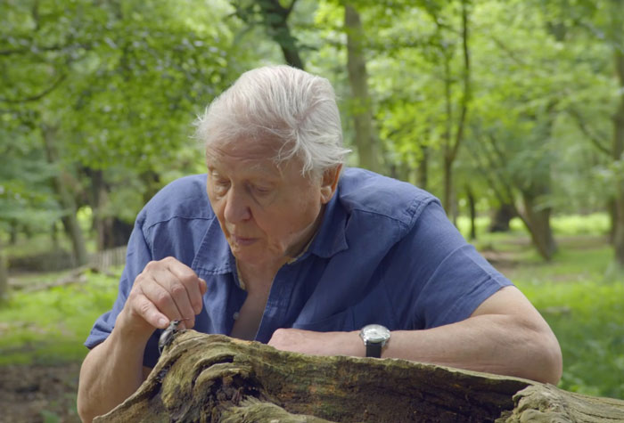 BBC Announces Its Online Geography Lessons Will Be Taught By Sir David Attenborough