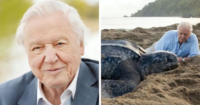 BBC Announces Its Online Geography Lessons Will Be Taught By Sir David Attenborough