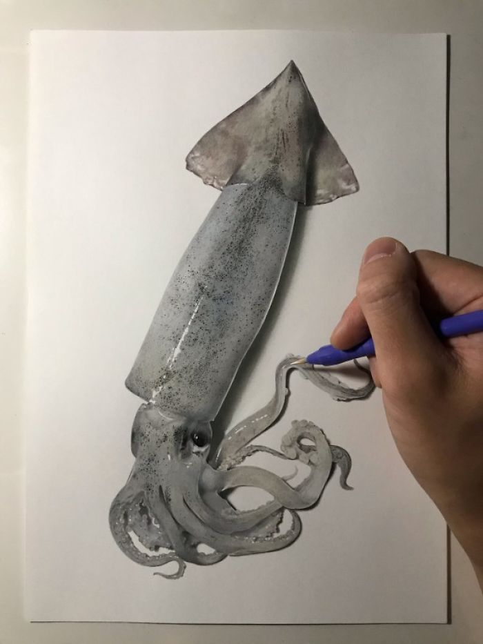Japanese Artist Creates Incredibly Realistic Drawing Of A Squid That Looks Like A High-Resolution Photograph