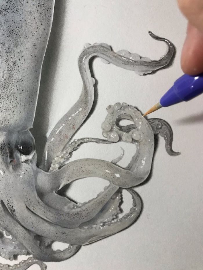 Japanese Artist Creates Incredibly Realistic Drawing Of A Squid That Looks Like A High-Resolution Photograph Japanese Artist Creates Incredibly Realistic Drawing Of A Squid That Looks Like A High-Resolution Photograph