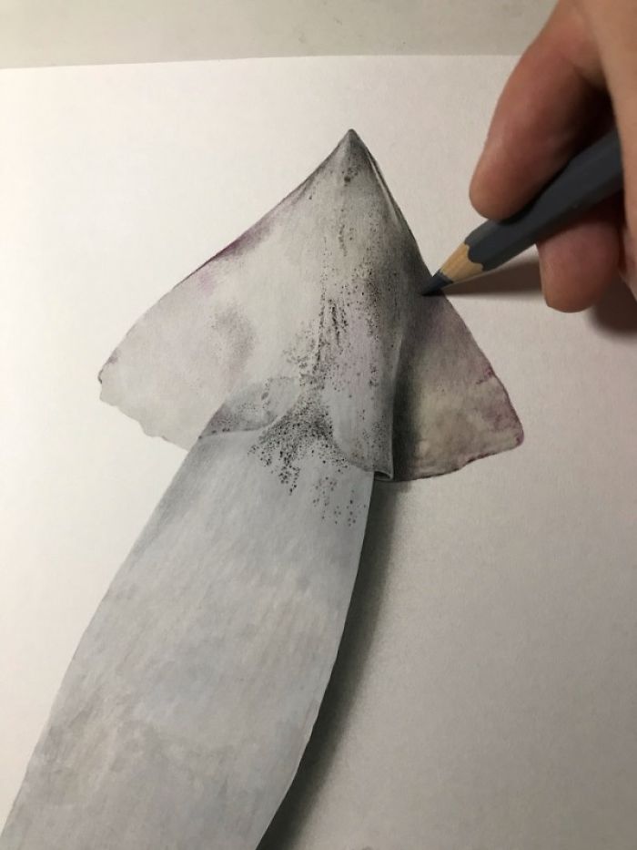 Japanese Artist Creates Incredibly Realistic Drawing Of A Squid That Looks Like A High-Resolution Photograph