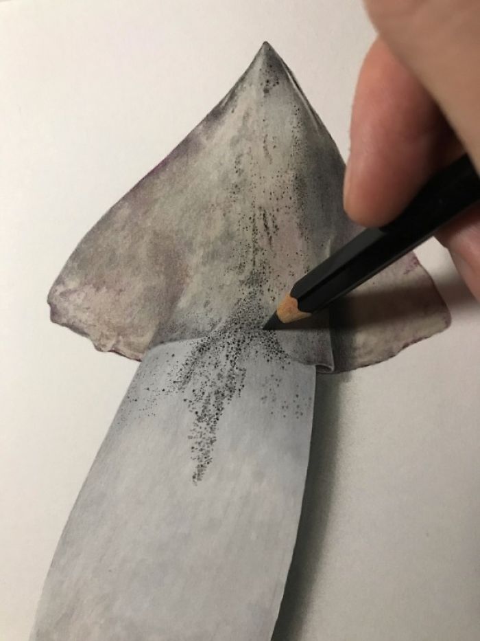 Japanese Artist Creates Incredibly Realistic Drawing Of A Squid That Looks Like A High-Resolution Photograph Japanese Artist Creates Incredibly Realistic Drawing Of A Squid That Looks Like A High-Resolution Photograph