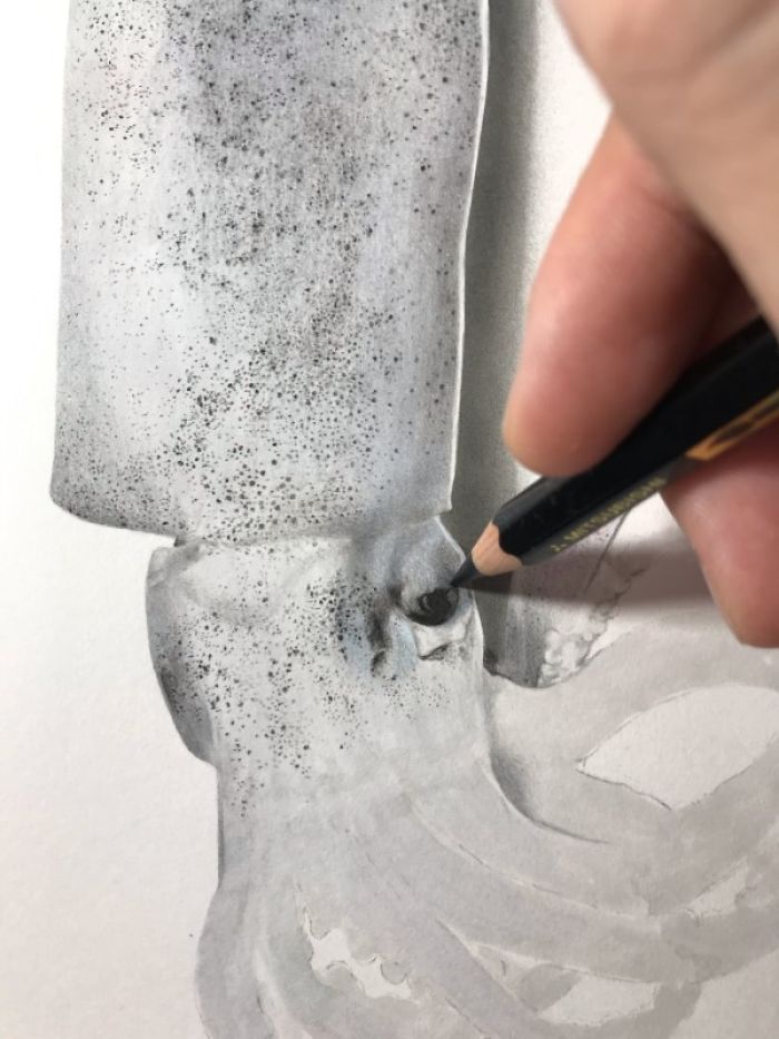 Japanese Artist Creates Incredibly Realistic Drawing Of A Squid That Looks Like A High-Resolution Photograph
