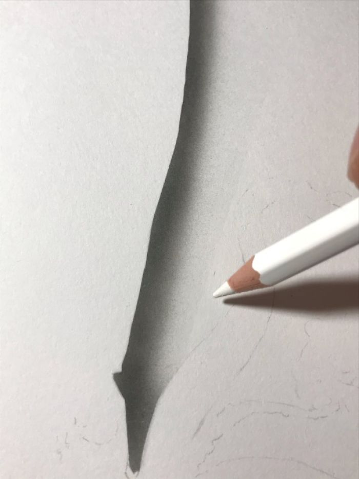 Japanese Artist Creates Incredibly Realistic Drawing Of A Squid That Looks Like A High-Resolution Photograph