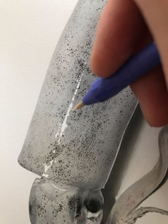 Japanese Artist Creates Incredibly Realistic Drawing Of A Squid That Looks Like A High-Resolution Photograph Japanese Artist Creates Incredibly Realistic Drawing Of A Squid That Looks Like A High-Resolution Photograph