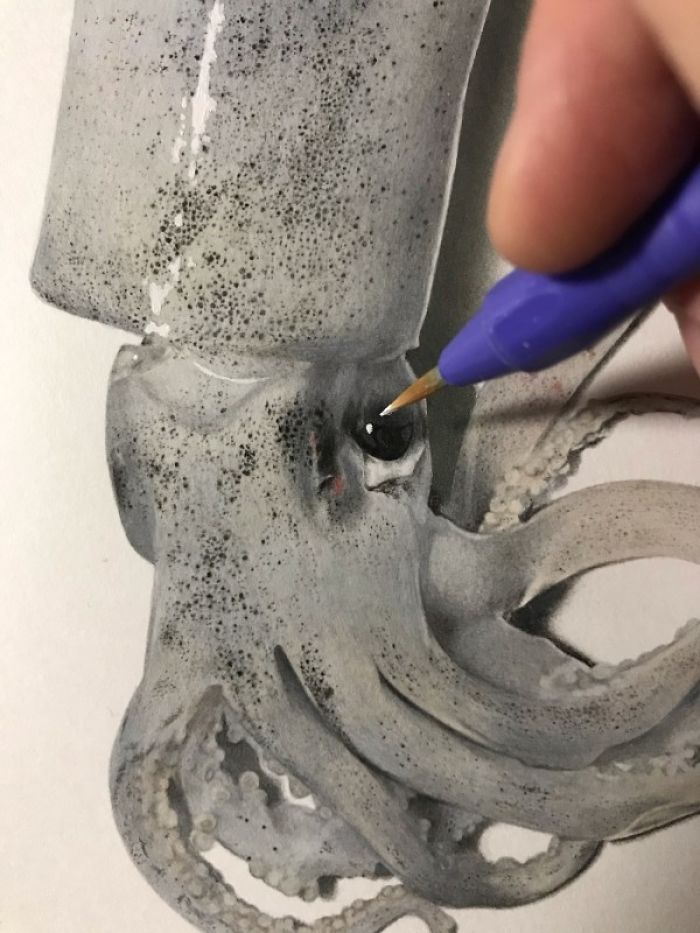 Japanese Artist Creates Incredibly Realistic Drawing Of A Squid That Looks Like A High-Resolution Photograph Japanese Artist Creates Incredibly Realistic Drawing Of A Squid That Looks Like A High-Resolution Photograph