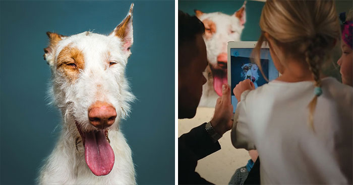 I Created This Interactive App Featuring Funny Dogs To Bring Positivity To Kids With Cancer