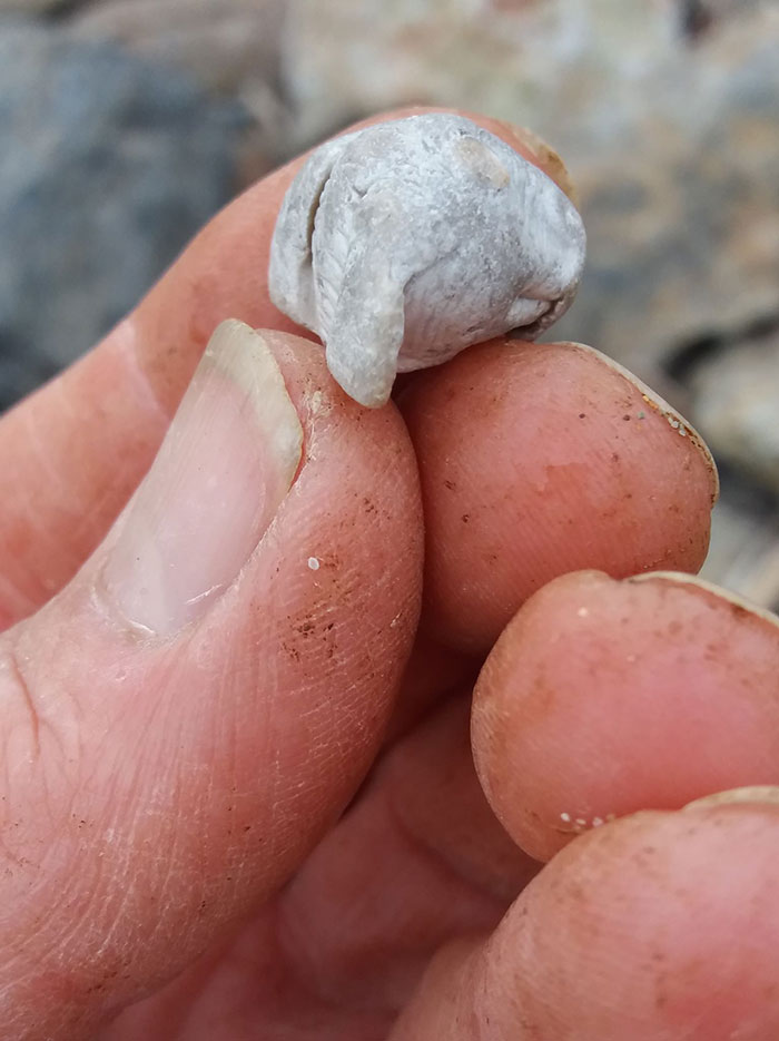 Man Takes Home 551lbs Of Trash From The Beach, Sorts It Out In His Backyard And Shares Interesting Finds