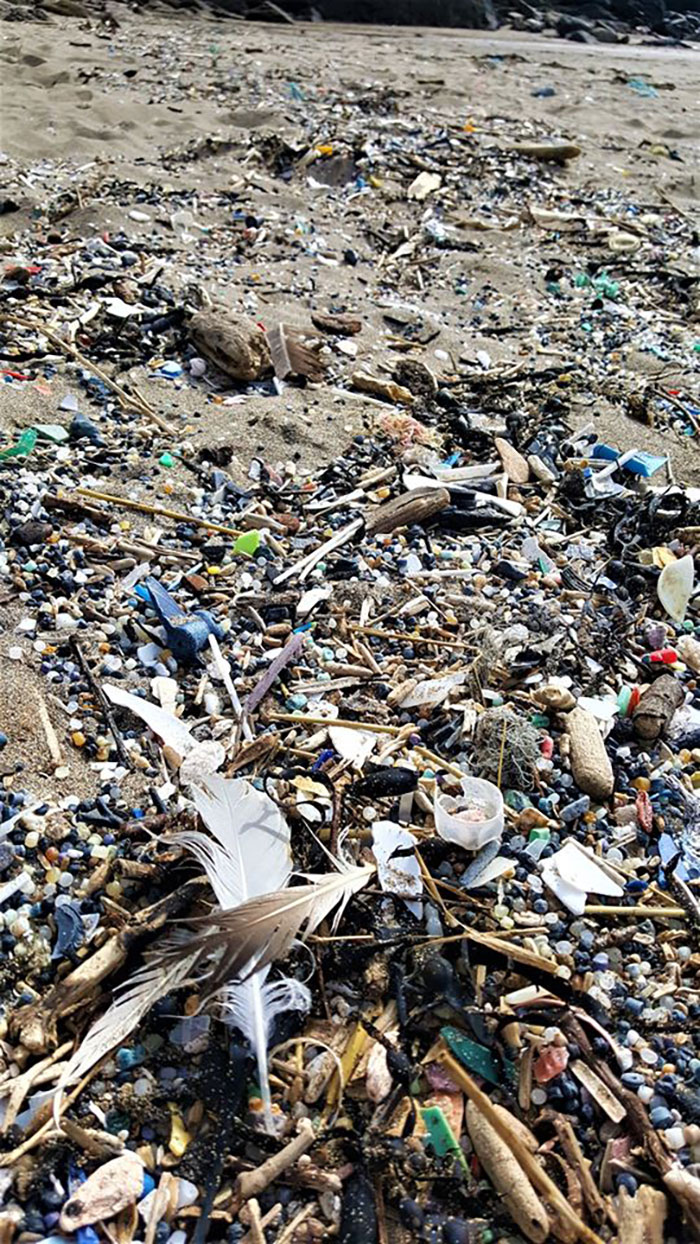 Man Takes Home 551lbs Of Trash From The Beach, Sorts It Out In His Backyard And Shares Interesting Finds