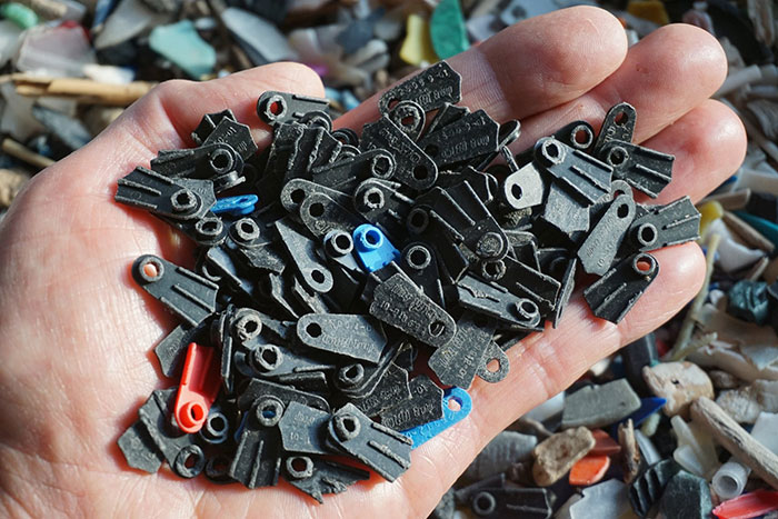 Man Takes Home 551lbs Of Trash From The Beach, Sorts It Out In His Backyard And Shares Interesting Finds