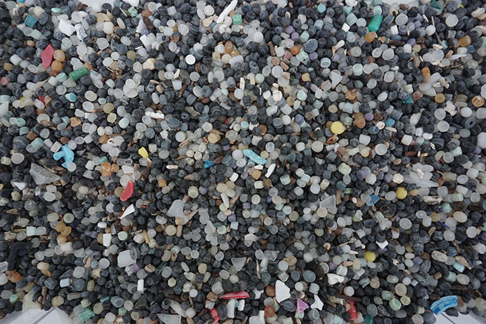 Man Takes Home 551lbs Of Trash From The Beach, Sorts It Out In His Backyard And Shares Interesting Finds