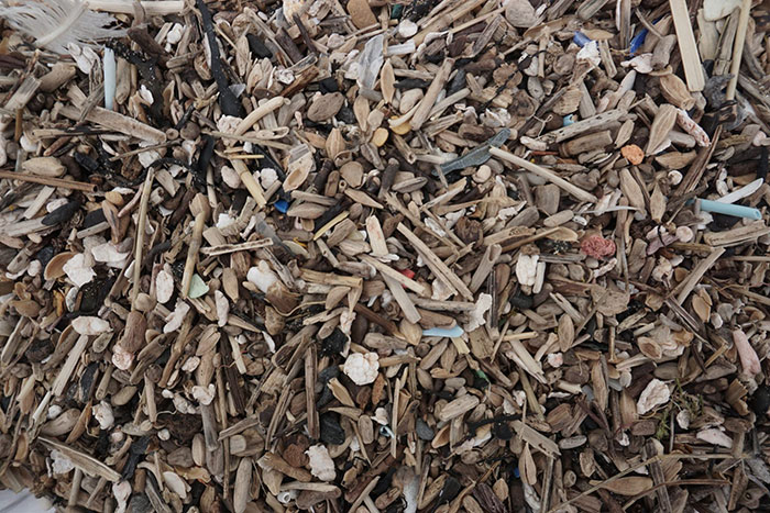 Man Takes Home 551lbs Of Trash From The Beach, Sorts It Out In His Backyard And Shares Interesting Finds