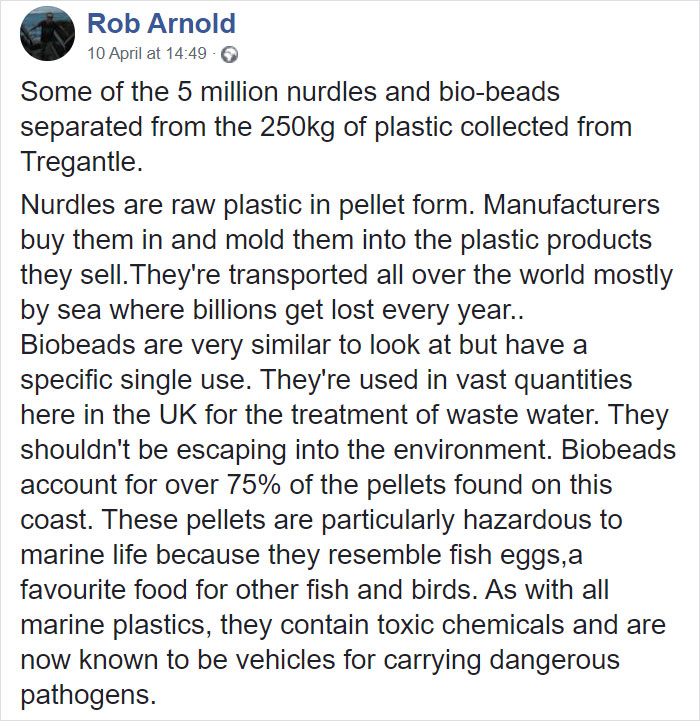 Man Takes Home 551lbs Of Trash From The Beach, Sorts It Out In His Backyard And Shares Interesting Finds Man Takes Home 551lbs Of Trash From The Beach, Sorts It Out In His Backyard And Shares Interesting Finds