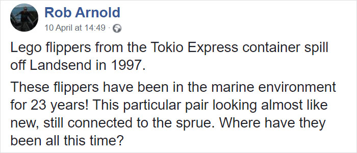 Man Takes Home 551lbs Of Trash From The Beach, Sorts It Out In His Backyard And Shares Interesting Finds Man Takes Home 551lbs Of Trash From The Beach, Sorts It Out In His Backyard And Shares Interesting Finds