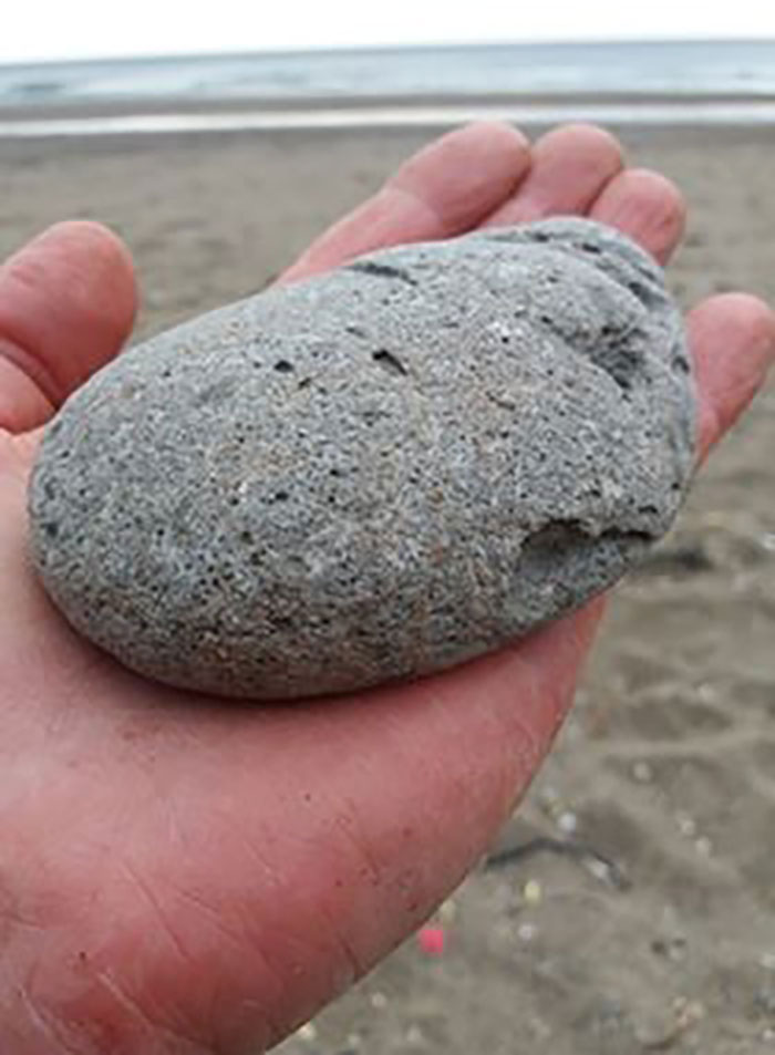 Man Takes Home 551lbs Of Trash From The Beach, Sorts It Out In His Backyard And Shares Interesting Finds Man Takes Home 551lbs Of Trash From The Beach, Sorts It Out In His Backyard And Shares Interesting Finds
