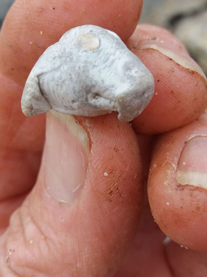 Man Takes Home 551lbs Of Trash From The Beach, Sorts It Out In His Backyard And Shares Interesting Finds