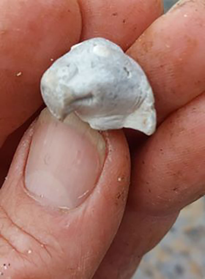 Man Takes Home 551lbs Of Trash From The Beach, Sorts It Out In His Backyard And Shares Interesting Finds