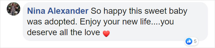 This Friendly Doggo Likes To Hold Hands With People Passing By His Kennel