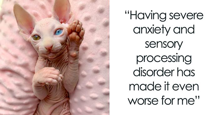 Here Are 68 Pics Of My Cats That Help Me During Tough Times