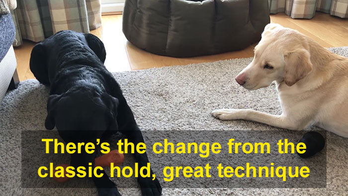 People Are Laughing At This Sports Broadcaster Commenting On His Dogs Fighting Over A Chew Toy