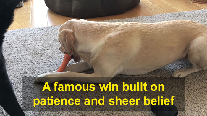 People Are Laughing At This Sports Broadcaster Commenting On His Dogs Fighting Over A Chew Toy
