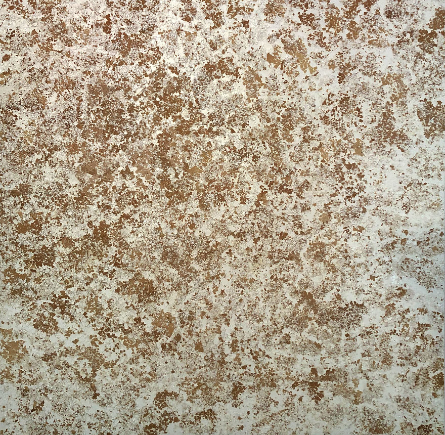 I Make Artwork Out Of Food Scraps