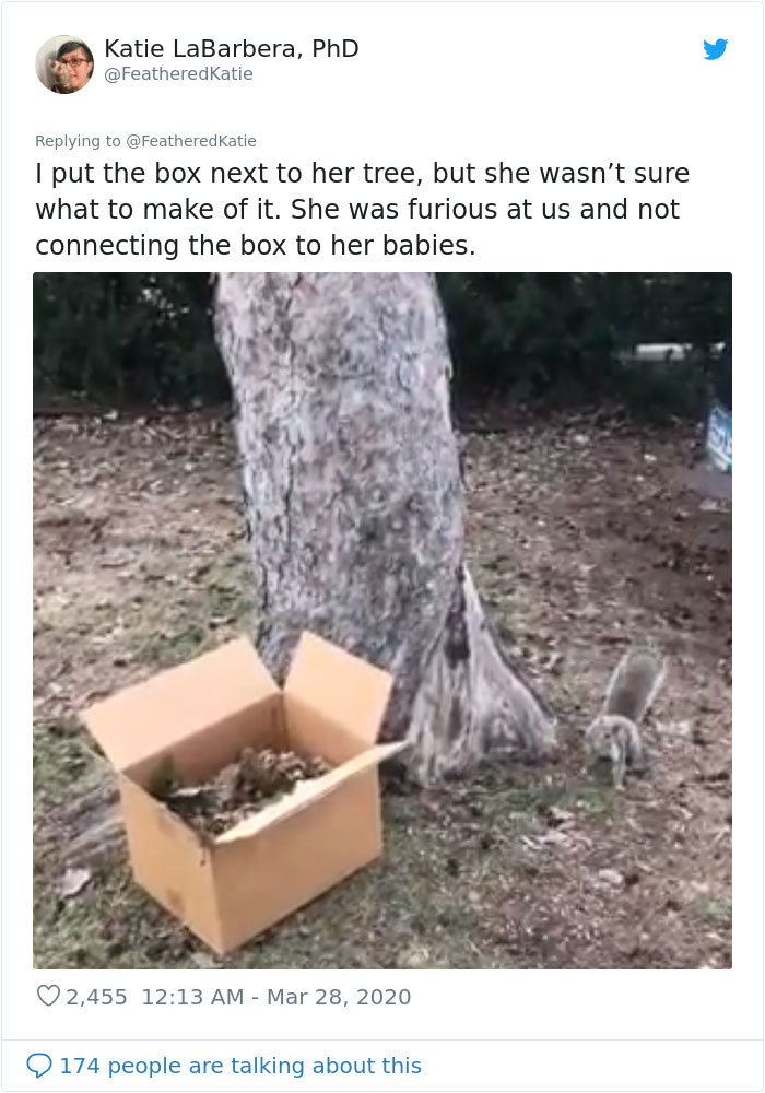 Neighbor Says Their Car Won't Start, Woman Finds A Squirrel She Tried To Fatten Up Has Had Babies Inside The Car Neighbor Says Their Car Won't Start, Woman Finds A Squirrel She Tried To Fatten Up Has Had Babies Inside The Car