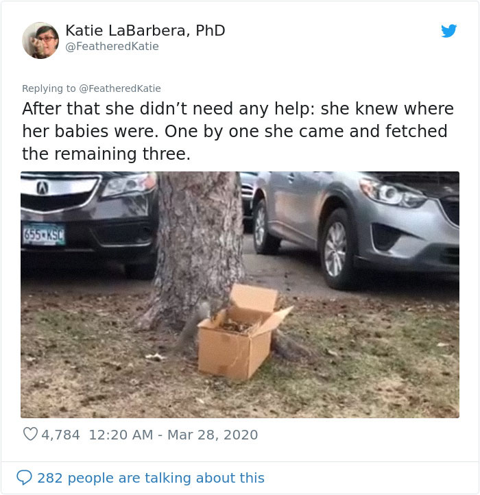 Neighbor Says Their Car Won't Start, Woman Finds A Squirrel She Tried To Fatten Up Has Had Babies Inside The Car Neighbor Says Their Car Won't Start, Woman Finds A Squirrel She Tried To Fatten Up Has Had Babies Inside The Car