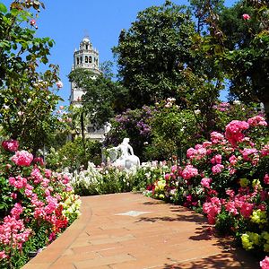 victoriakuntz41 avatar