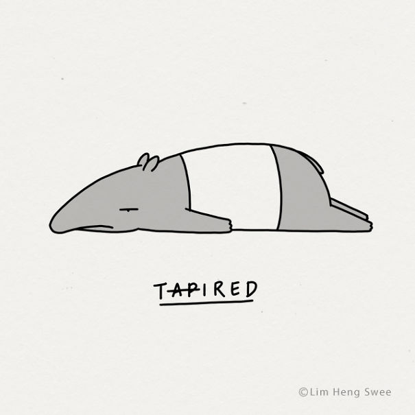 Tapir