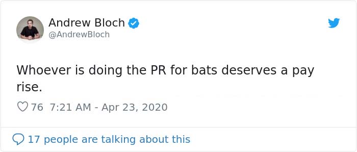The Pope “Insults” Bats On Twitter, Gets Schooled By A Bat Expert The Pope “Insults” Bats On Twitter, Gets Schooled By A Bat Expert