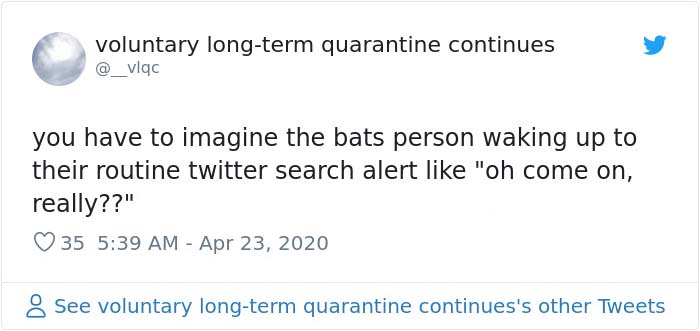 The Pope “Insults” Bats On Twitter, Gets Schooled By A Bat Expert The Pope “Insults” Bats On Twitter, Gets Schooled By A Bat Expert