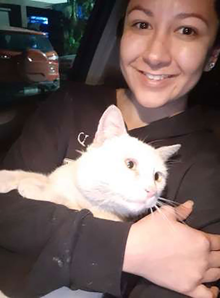 Clever Street Cat Leads A Woman To The Store And Asks Her To Buy Him Food, She Adopts Him Clever Street Cat Leads A Woman To The Store And Asks Her To Buy Him Food, She Adopts Him