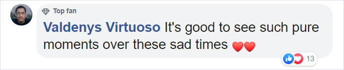 Photographer Captures A Shot Of Two Widowed Penguins Overlooking The Melbourne Skyline Together Photographer Captures A Shot Of Two Widowed Penguins Overlooking The Melbourne Skyline Together