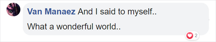 Photographer Captures A Shot Of Two Widowed Penguins Overlooking The Melbourne Skyline Together Photographer Captures A Shot Of Two Widowed Penguins Overlooking The Melbourne Skyline Together