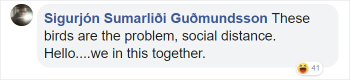 Photographer Captures A Shot Of Two Widowed Penguins Overlooking The Melbourne Skyline Together Photographer Captures A Shot Of Two Widowed Penguins Overlooking The Melbourne Skyline Together